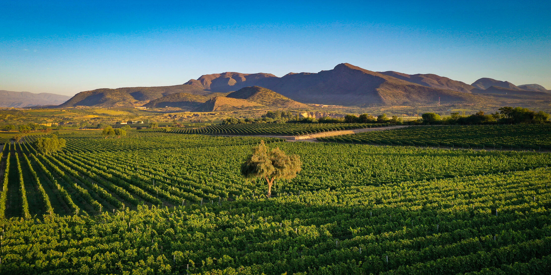 Aranjuez, Tarija, Bolivia